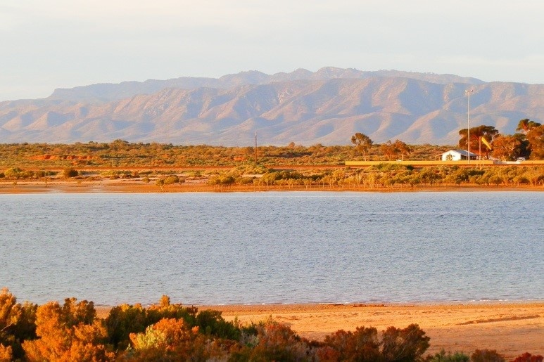 View of the Flinders Ranges across Spencer Gulf from Port Augusta, with colorful vegetation in the foreground. Discover things to do in Port Augusta, including enjoying scenic views like this.