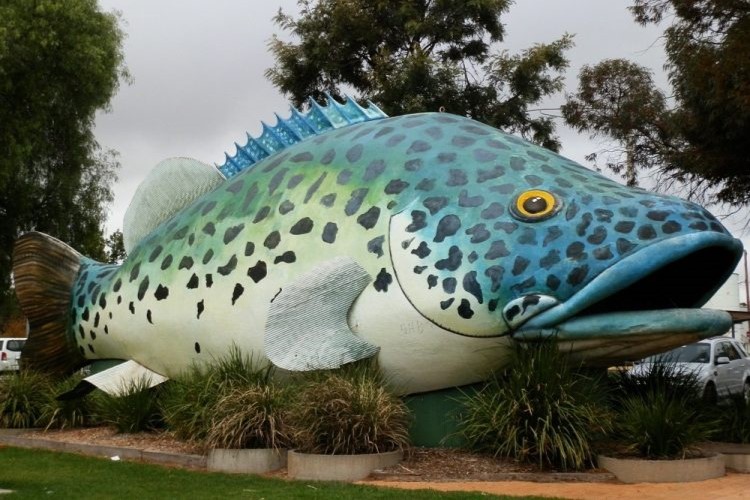 a large, colorful statue of Giant Murray Cod in Swan Hill
