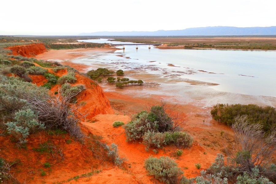 Red cliffs overlooking Spencer Gulf in Port Augusta, South Australia, with contrasting green vegetation and calm waters in the distance.