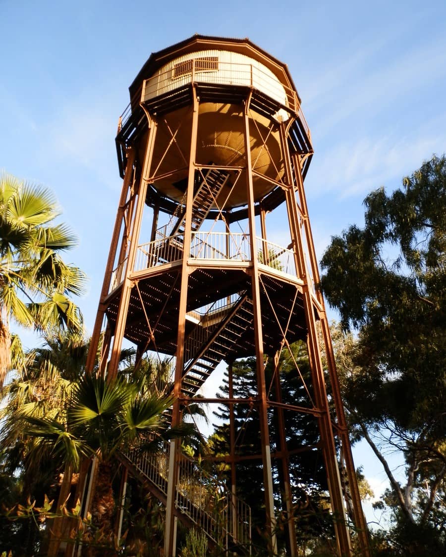 The Water Tower Lookout in Port Augusta, featuring a tall, brown metal structure with a series of staircases leading to an enclosed observation deck at the top, surrounded by palm trees.