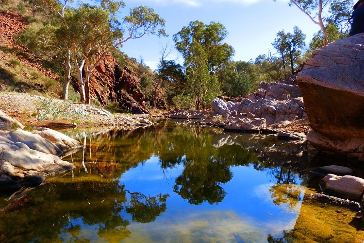 Arkaroola