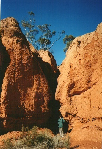 Redbank Gorge, NT. A person stands at the base of towering red rock formations, with sparse trees growing at the top. The narrow gap between the rocks creates a dramatic contrast against the clear blue sky.