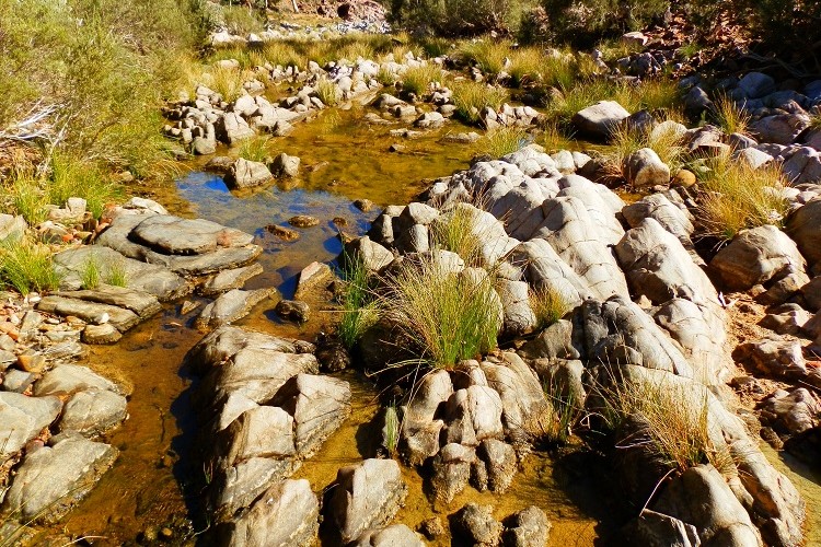 The rocky Bolla Bollana Waterholes with scattered patches of reeds and shrubs, located at Arkaroola Wilderness Sanctuary in South Australia.