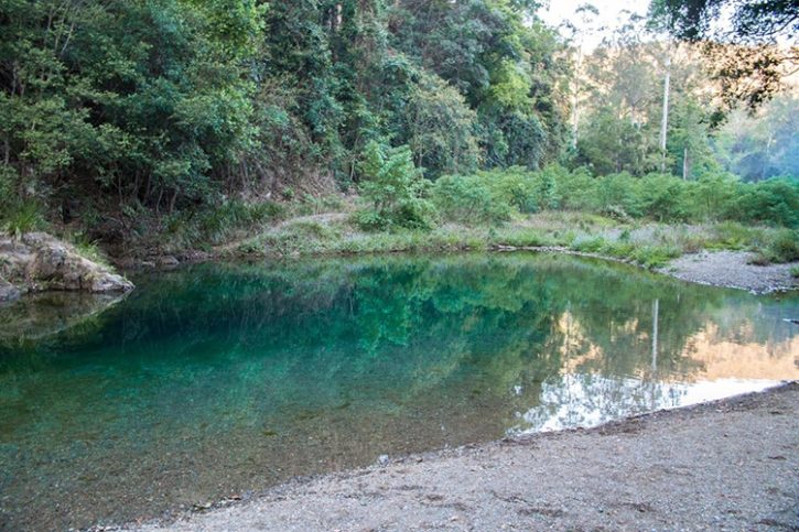 Conondale, Booloumba Creek, QLD. A serene, emerald-green creek surrounded by lush, dense forest. The reflection of the trees in the calm water adds to the tranquil vibe of this hidden spot.