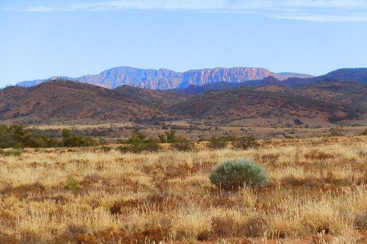 Expansive view of the dry landscape at Arkaroola Wilderness Sanctuary in South Australia, with distant mountains under a clear blue sky.