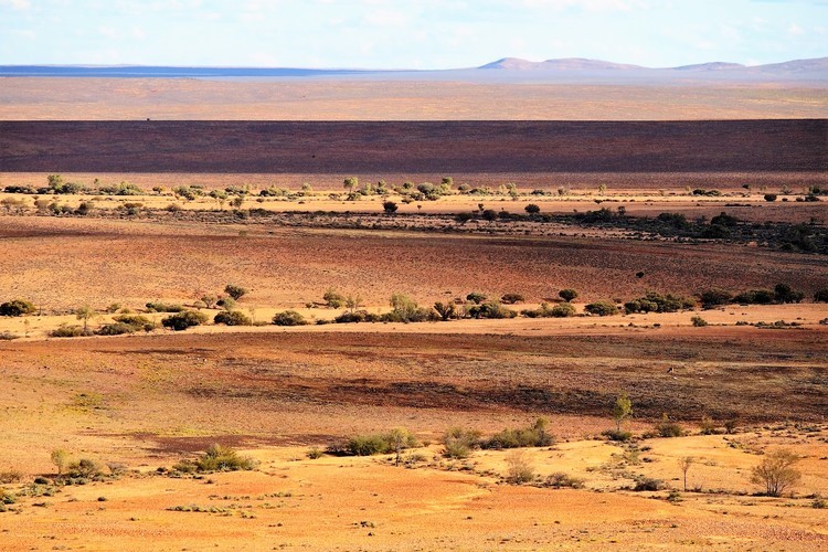 View from Jump Up Lookout, Sturt National Park, NSW. A sweeping view of a vast arid plain with varying shades of red and brown soil. Low shrubs dot the landscape, which stretches into the distant horizon.