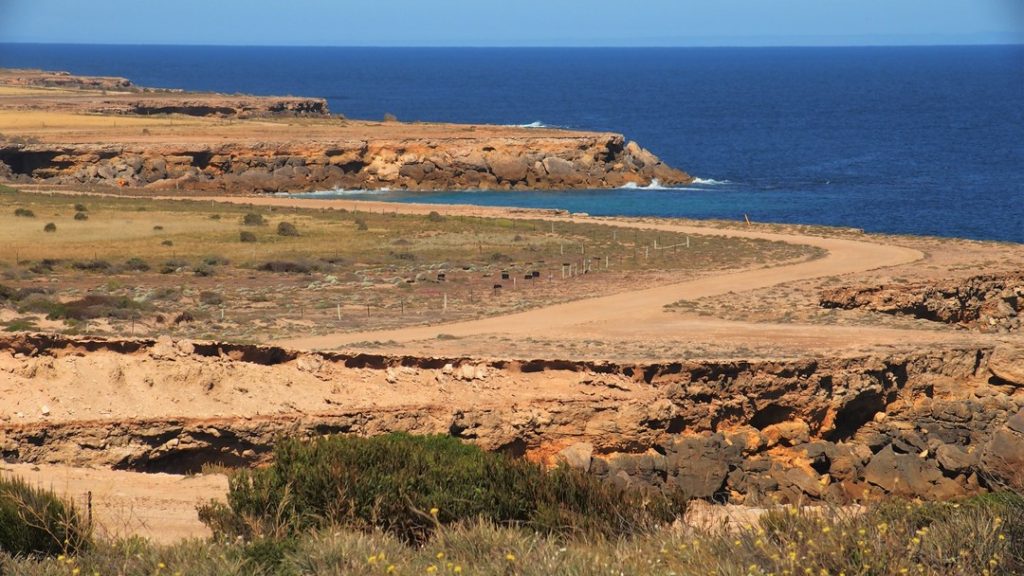 Troubridge Scenic Drive, Yorke Peninsula, SA. A coastal landscape showing a rugged dirt road winding along a rocky shoreline. The deep blue ocean contrasts with the dry, arid land and rocky cliffs.