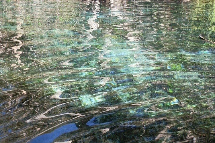 Bitter Springs, via Mataranka, Northern Territory, Australia, a secret Aussie hotspot. The crystal-clear waters of Bitter Springs, reflecting the surrounding trees and sky. The water's surface shimmers, revealing the submerged plants below.