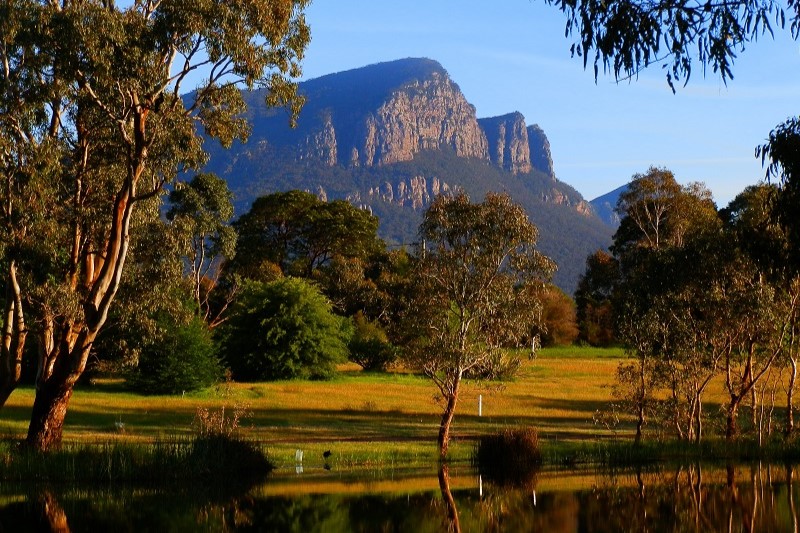 Mt Abrupt from Dunkeld Arboretum, VIC. A picturesque view of Mount Abrupt, with the mountain framed by trees in the foreground. The sunlight casts warm golden hues across the grassy landscape, with the rocky mountain standing tall in the background.