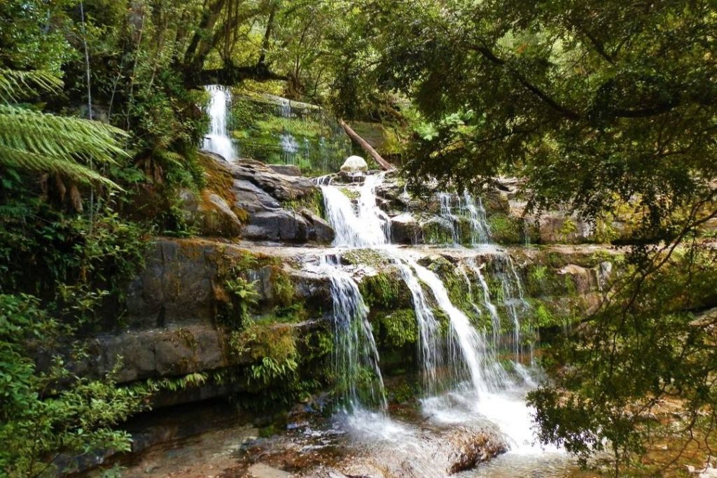 Liffey Falls, via Deloraine, TAS. A multi-tiered waterfall cascades over moss-covered rocks surrounded by lush green forest. The water flows gently into a calm pool at the bottom, creating a tranquil forest scene.