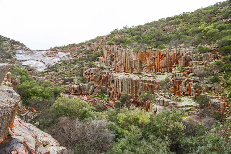 Gawler Ranges National Park, Organ Pipes, South Australia. A rugged landscape featuring tall, weathered red rock formations known as organ pipes. The rocky cliffside is surrounded by bushes and trees, emphasizing the natural beauty and geological features of the park.