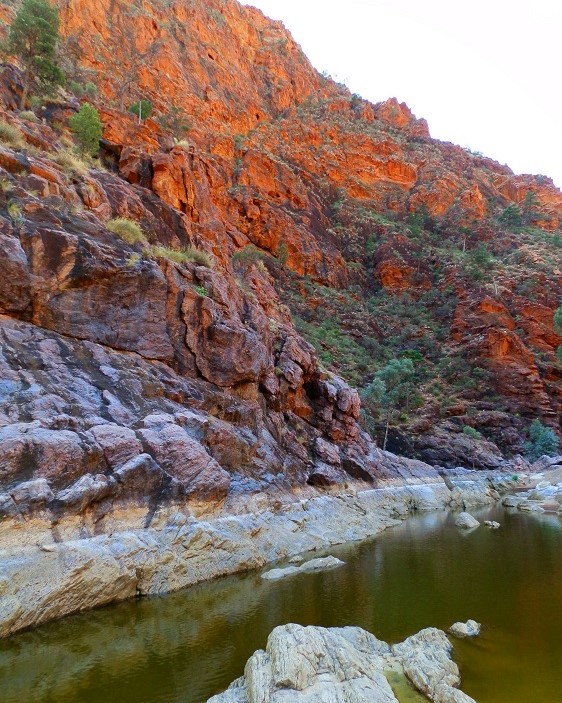 The Barraranna Gorge Trail at Arkaroola Wilderness Sanctuary in South Australia, featuring striking red rock walls and a rocky watercourse.