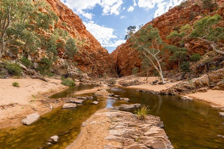 Redbank Gorge, NT, Australia. A narrow gorge flanked by tall red rock walls with a shallow stream flowing through the middle. Sparse vegetation lines the rocks, and the sunlight enhances the rich red tones of the landscape.