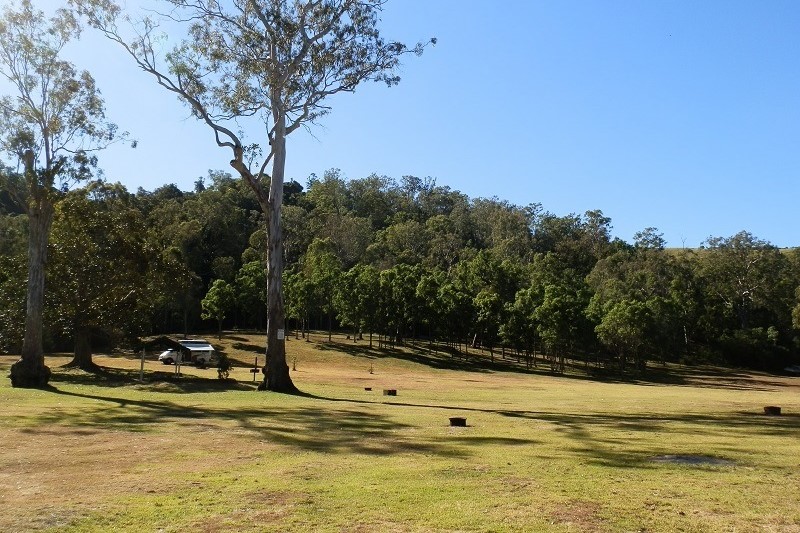 The Andrew Drynan Campground features a wide, grassy area with scattered trees and a small shelter, surrounded by a backdrop of dense forest under a clear blue sky.