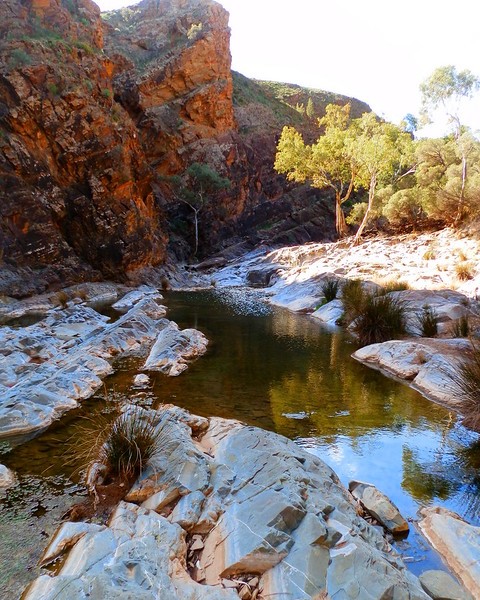 A serene pool of water surrounded by rugged rock formations and sparse vegetation along the Blinman Pools hike in Angorichina, Northern Flinders Ranges, a peaceful spot on a Flinders Ranges itinerary.