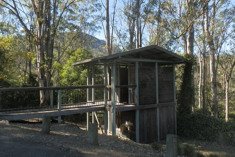 A wooden structure at the Border Loop Lookout, surrounded by tall trees, featuring a small covered area with a ramp leading to it.