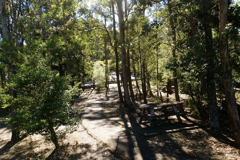 The Border Loop Lookout picnic area features shaded picnic tables nestled among tall trees, with sunlight filtering through the leaves, creating a serene atmosphere.
