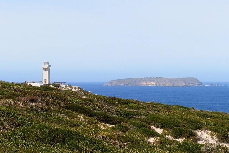 Cape Spencer Lighthouse in South Australia with Althorpe Island in the background, set against a blue ocean and sky. The lighthouse is surrounded by coastal vegetation on a rugged cliff.