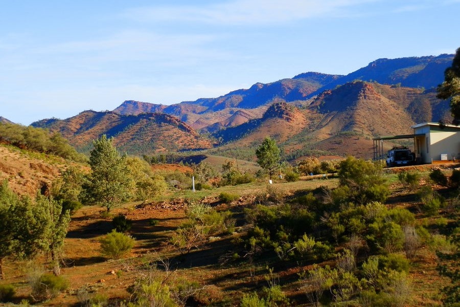 A scenic view of the Heysen Range from Angorichina in the Northern Flinders Ranges, featuring rugged hills and sparse vegetation under a clear sky, perfect for a Flinders Ranges itinerary.