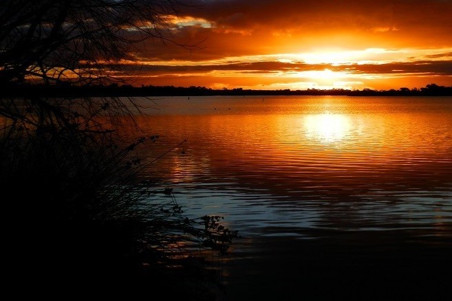 A vibrant sunset over Lake Cullulleraine, with golden and orange hues reflecting on the water, capturing a serene moment for things to do at Lake Cullulleraine.