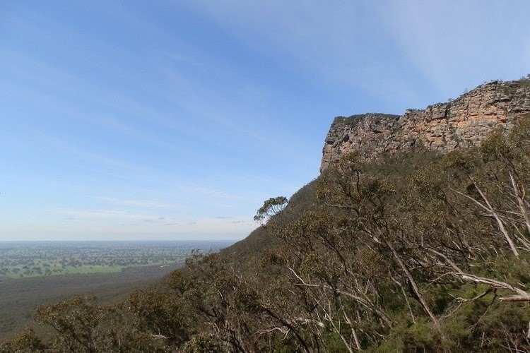 A view of the rugged cliffs of Mount Abrupt with expansive plains stretching out below, framed by bushland and trees, typical of the Mount Abrupt walk landscape.