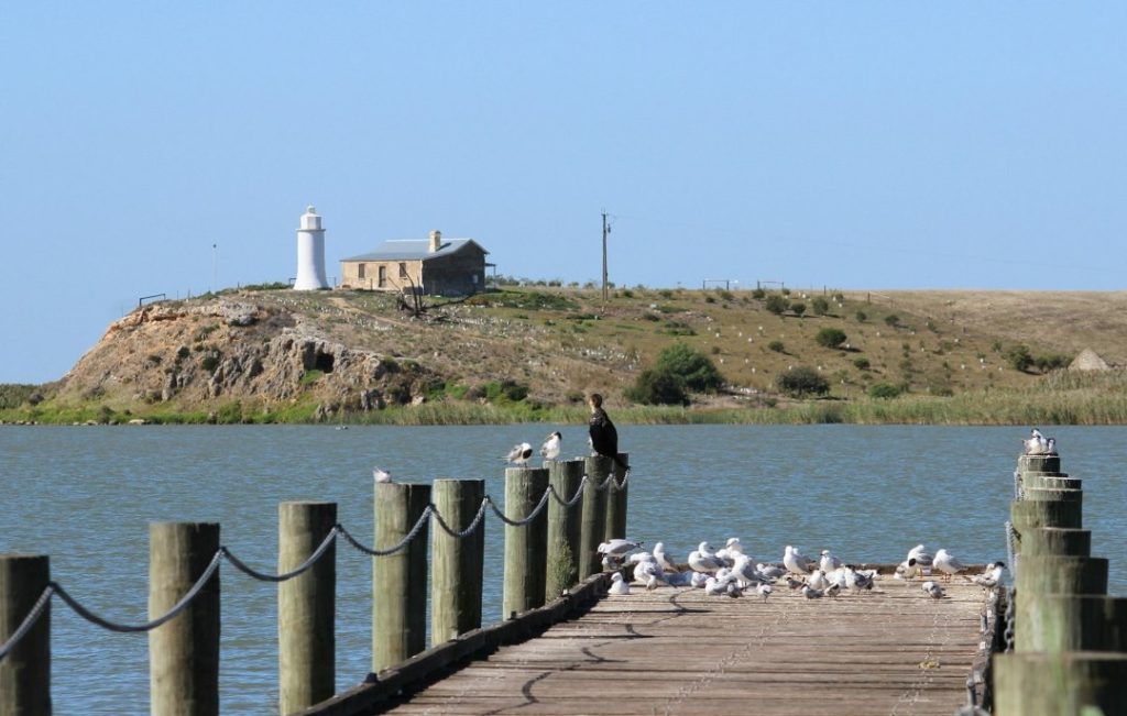 Point Malcolm Lighthouse in Narrung, South Australia, sits on a small hill overlooking a calm lake. A wooden jetty with seagulls leads towards the lighthouse, with an old stone building nearby.