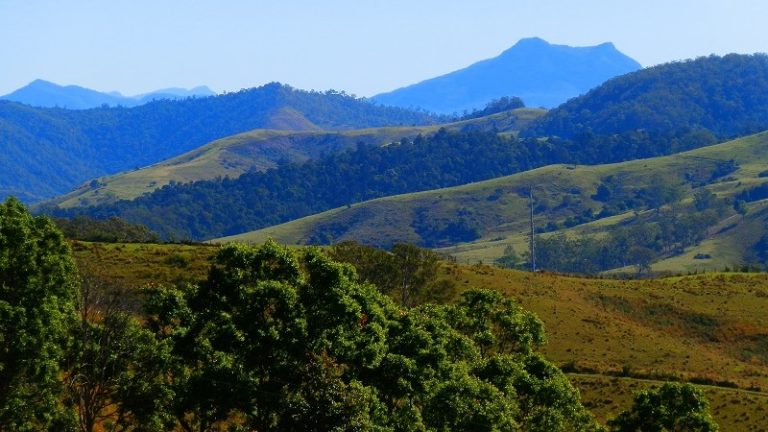 A picturesque view from the Lions Road at the NSW-Queensland border, showcasing rolling green hills and distant mountain peaks under a bright blue sky.