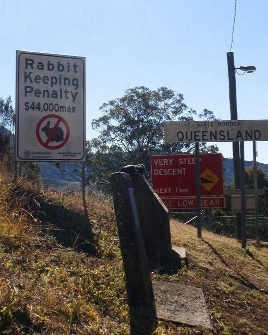 Signs at the Queensland border warn of a $44,000 penalty for keeping rabbits and a steep descent ahead.