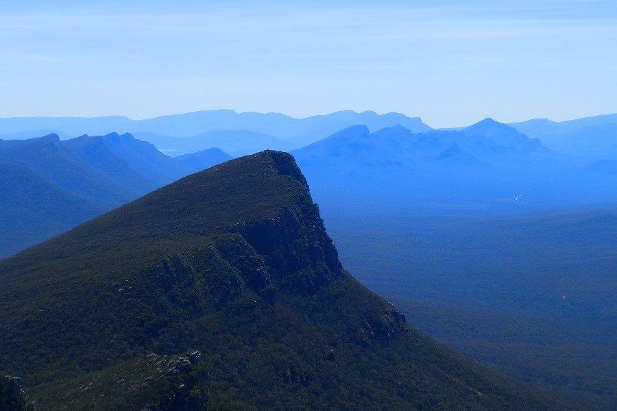 A distant view of Signal Peak and the Serra Range seen during the Mount Abrupt walk, with the ridges extending into a hazy blue horizon. 