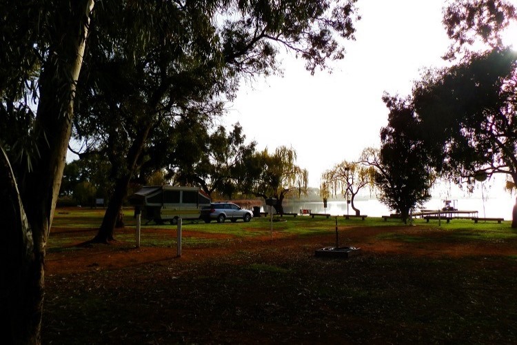 A quiet camping area at Bushmans Rest Caravan Park near Lake Cullulleraine, featuring parked vehicles and caravans under large trees with a view of the lake in the background. This peaceful spot is ideal for those seeking things to do at Lake Cullulleraine.