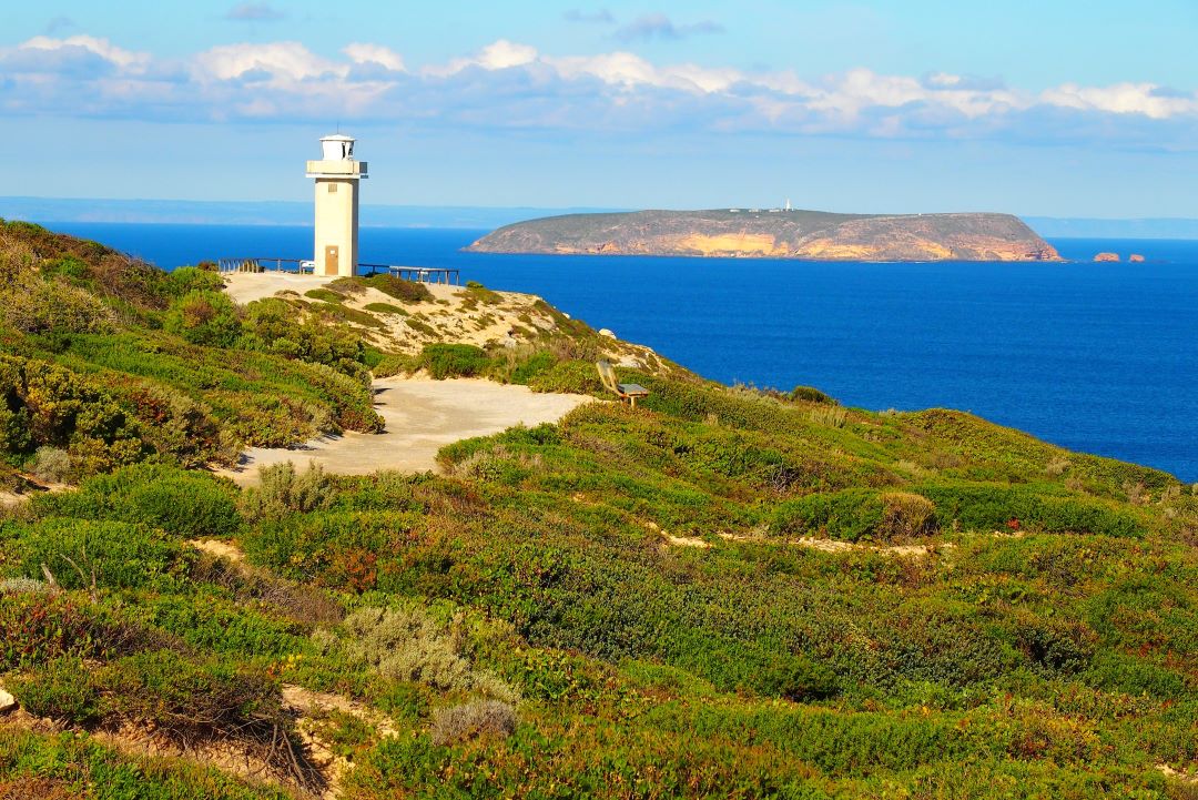 Cape Spencer Lighthouse in Innes National Park, South Australia, overlooking the blue waters and distant Althorpe Island. The lighthouse is surrounded by coastal vegetation under a bright, clear sky.