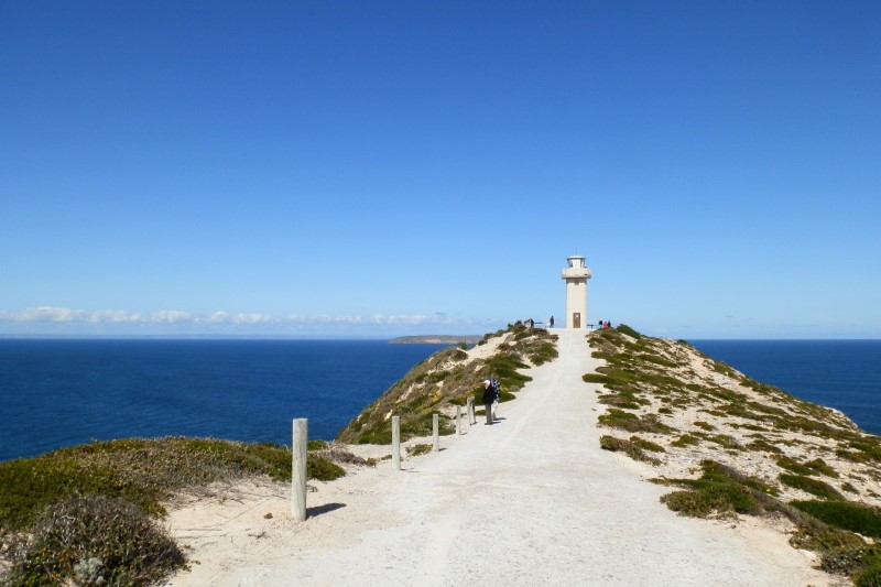 Cape Spencer Lighthouse in Dhilba Guuranda - Innes National Park, South Australia, situated at the end of a narrow, rocky path with stunning ocean views on both sides. The lighthouse overlooks the vast blue sea under a clear sky, with distant land visible in the background.