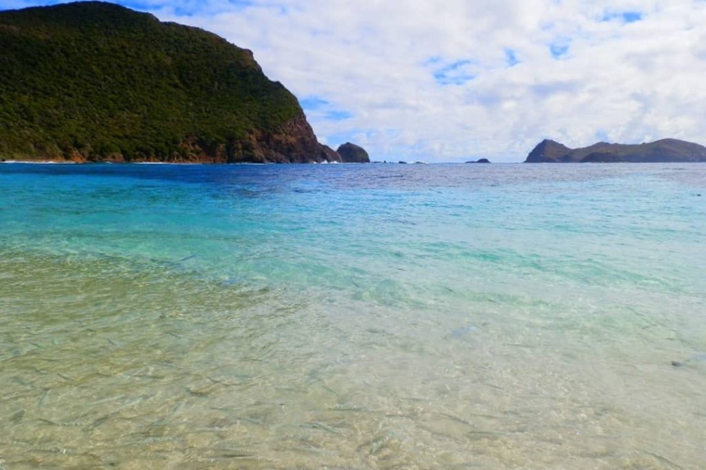 Clear, shallow waters at Ned's Beach on Lord Howe Island reveal schools of fish swimming near the shore. In the background, the coastline is covered with lush greenery and small islands dot the horizon.