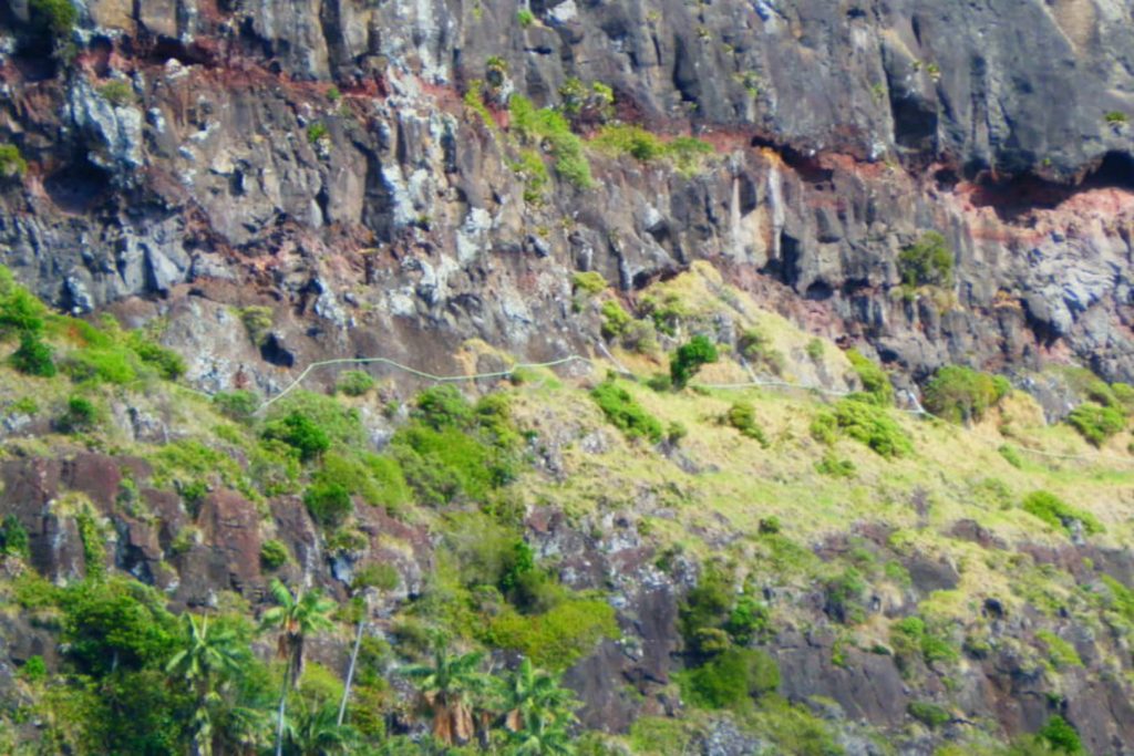 A section of Mount Gower's rocky cliff face on Lord Howe Island, NSW, Australia, with a visible handrail running along the steep terrain.