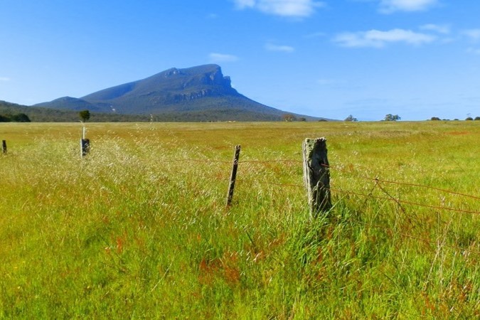 Mount Abrupt viewed from a grassy field near Dunkeld, with a rustic fence in the foreground and a bright blue sky above, typical of the Mount Abrupt walk scenery.