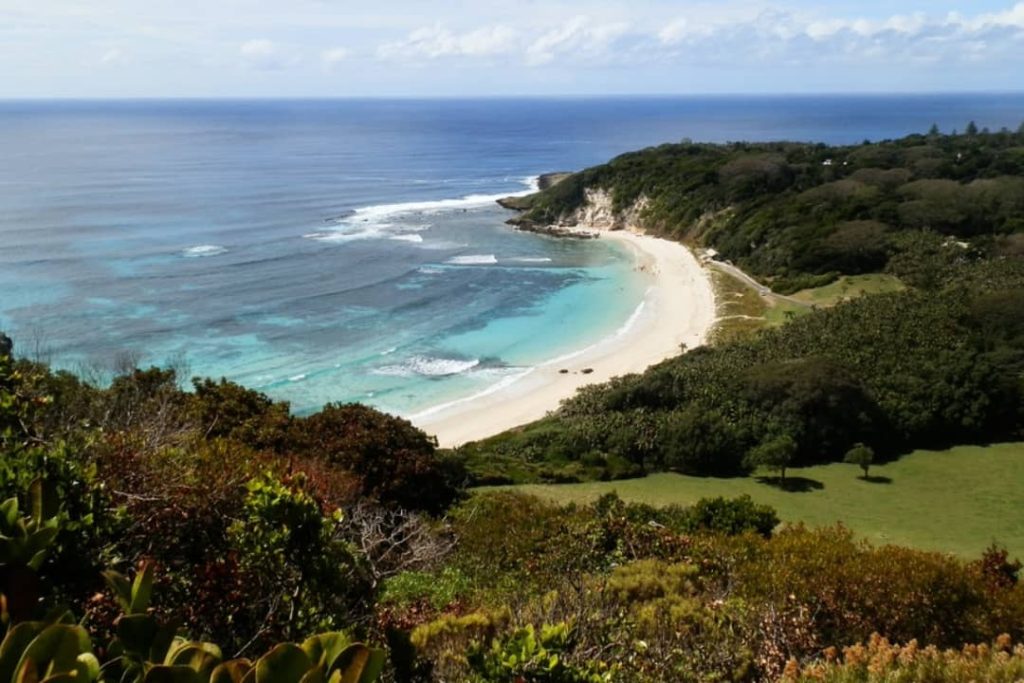 A breathtaking view of Ned's Beach from Malabar Hill surrounded by lush greenery on Lord Howe Island, NSW, Australia.