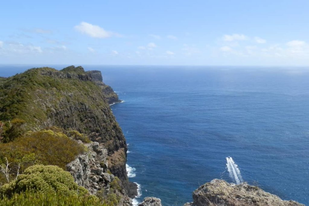 The view from the northern coastline on Kim's Lookout Track, Lord Howe Island, NSW, shows rugged cliffs stretching into the distance against the vast blue ocean.