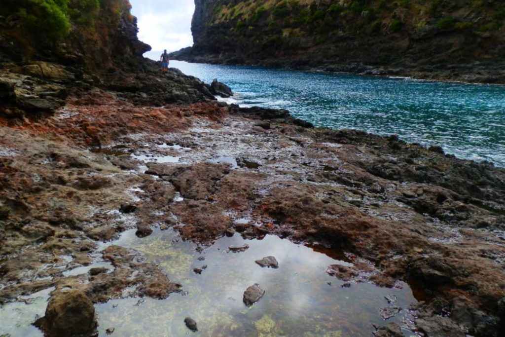 The short walking track to the rocky terrain of Old Gulch on Lord Howe Island, Australia, leads to an excellent snorkelling spot with crystal-clear turquoise waters.