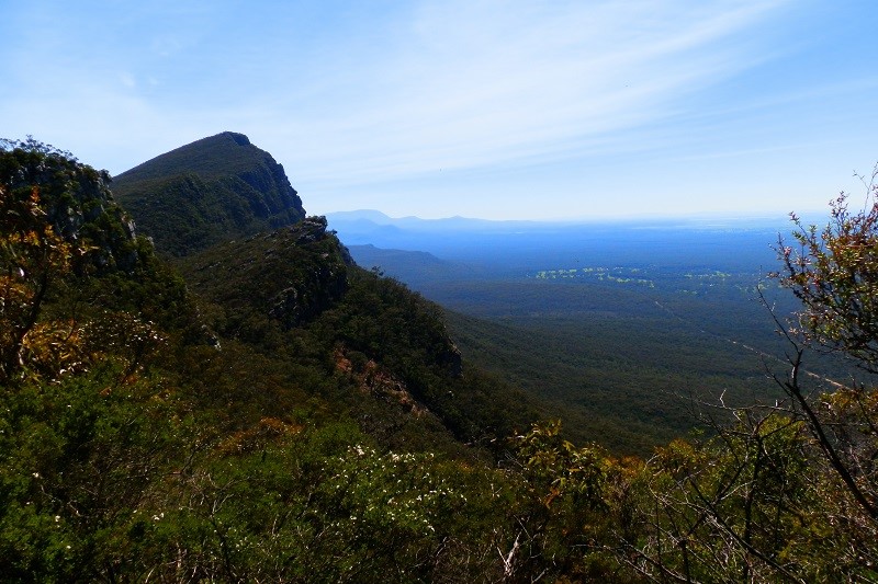 A panoramic view of Signal Peak from the Mount Abrupt walk, with dense forested slopes and expansive plains stretching into the horizon under a clear sky.