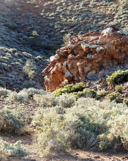 A rock formation resembling a human face nestled among rugged terrain and bushy vegetation in the Copley outback—a unique natural sight and one of the intriguing things to do in Copley, SA.