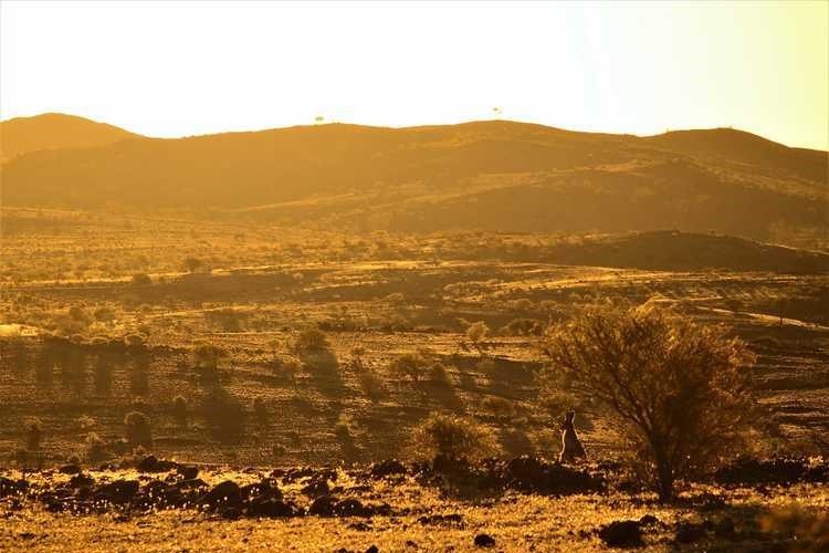 A golden sunset over the rocky hills near Tibooburra, NSW, with a kangaroo near a small tree.