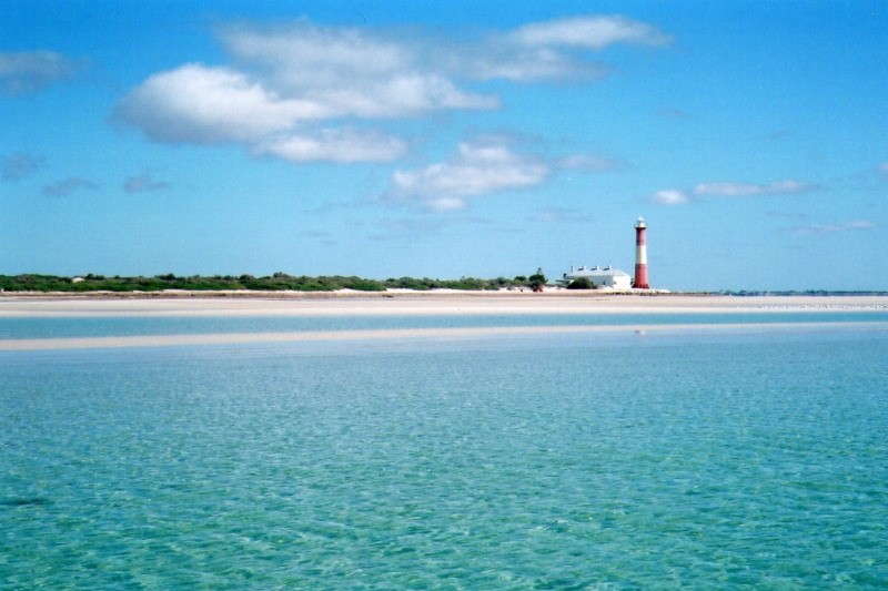 Troubridge Island Lighthouse in South Australia, located near a sandy beach with clear turquoise waters. The red and white lighthouse stands tall in the distance, surrounded by sparse coastal vegetation.
