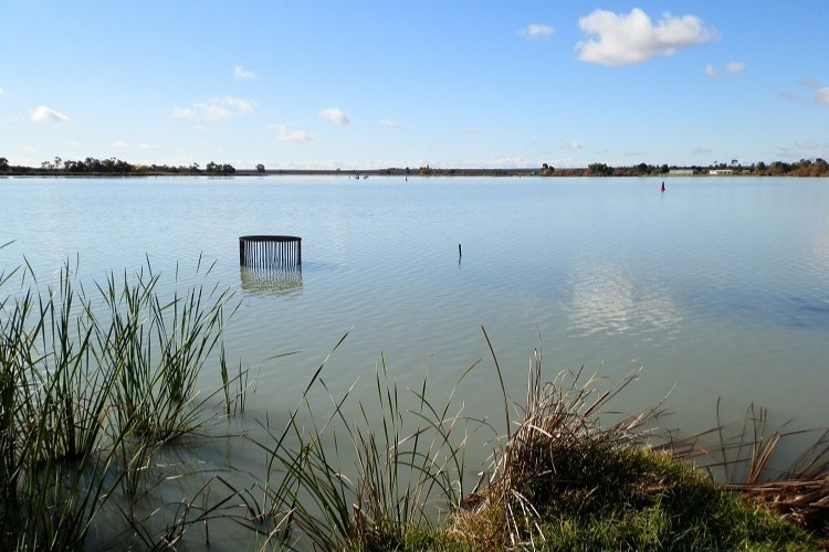A view of Lake Cullulleraine with calm water, reeds along the shore, and a small structure in the water, ideal for nature walks among things to do at Lake Cullulleraine.