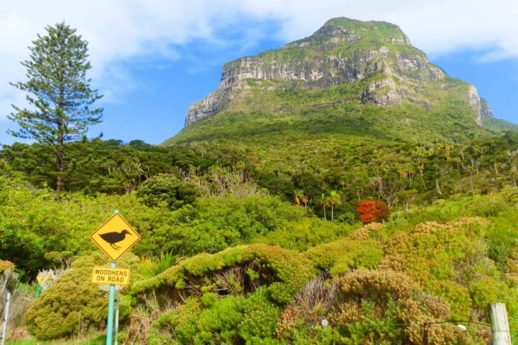 A "Woodhens on Road" sign stands against the lush green backdrop of Lord Howe Island, Australia, with the towering Mount Lidgbird rising in the background.