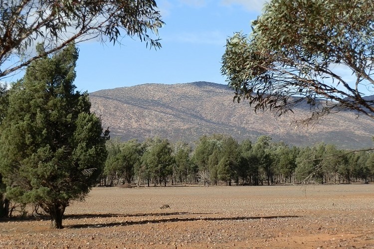 Wilpena Pound