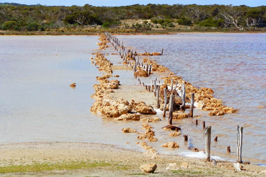 Jetty ruins along Salt Creek Loop Trail in Coorong National Park, South Australia, featuring a line of weathered wooden posts and rocky remnants extending into the shallow water, surrounded by a natural landscape.