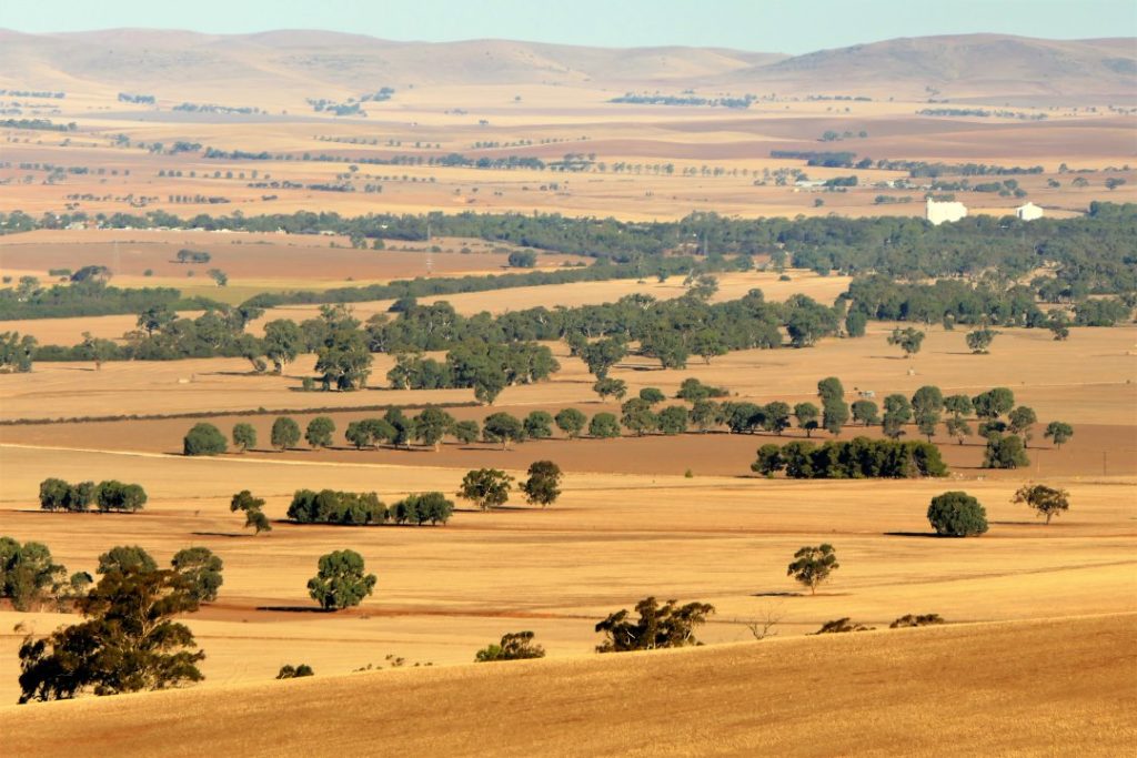 Laura Lookout, Southern Flinders Ranges, South Australia. It's a beautiful place but with several Australian pests like mosquitoes.