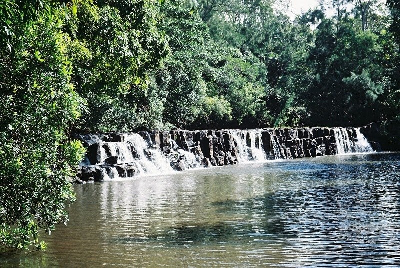 Serene Endeavour Falls flowing over a rocky ledge, surrounded by lush green foliage, cascading gently into a calm, reflective pool below.