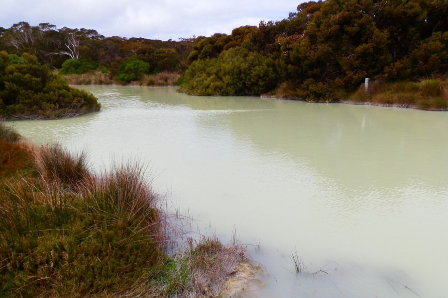 A salt creek in Salt Creek, with milky water surrounded by lush vegetation, creating a tranquil, secluded atmosphere.