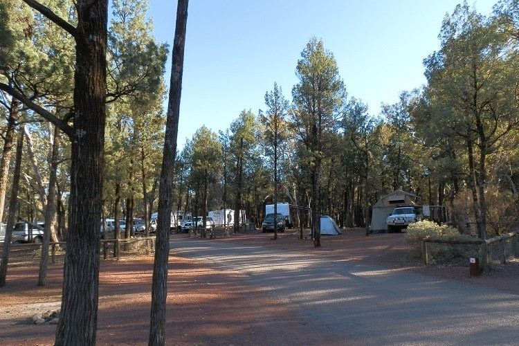 Wilpena Pound Resort Campground nestled among the trees, providing a base for exploring the Flinders Ranges, South Australia.